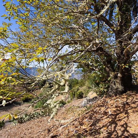 Home2Book Las Mimbreras Agulo Екстериор снимка